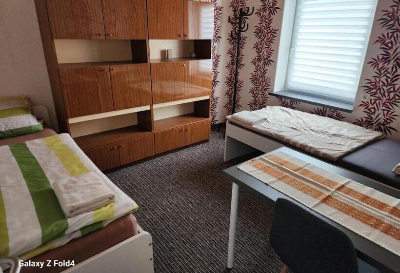 بنسيون Gasthaus Elbe