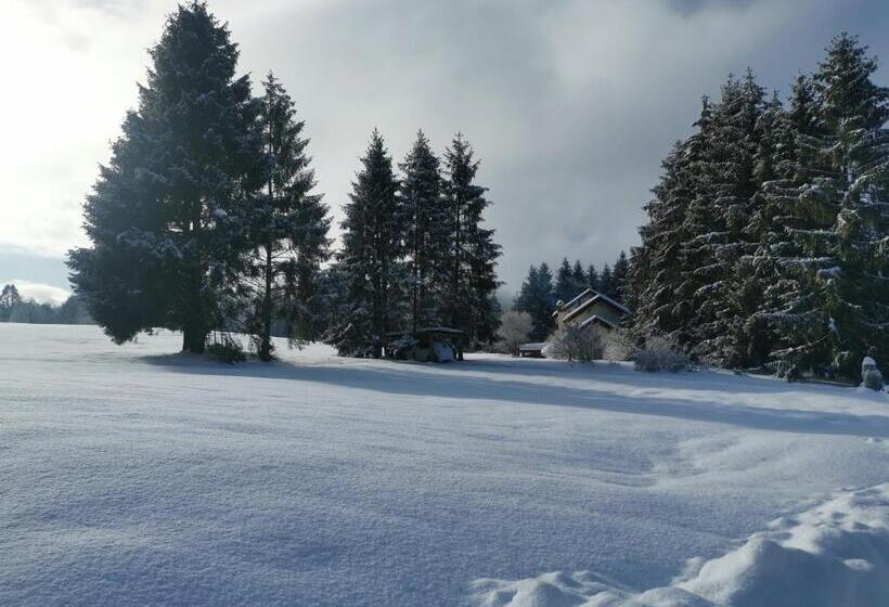 פנסיון Il Rosmarino