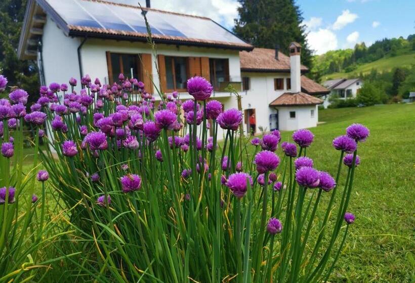 פנסיון Il Rosmarino