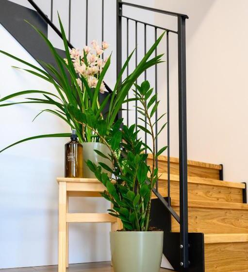 膳宿费 Illasi Dreams