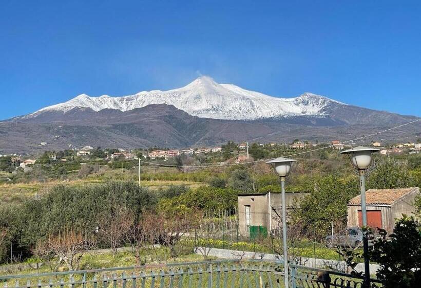 פנסיון Illo Camere Affittacamere