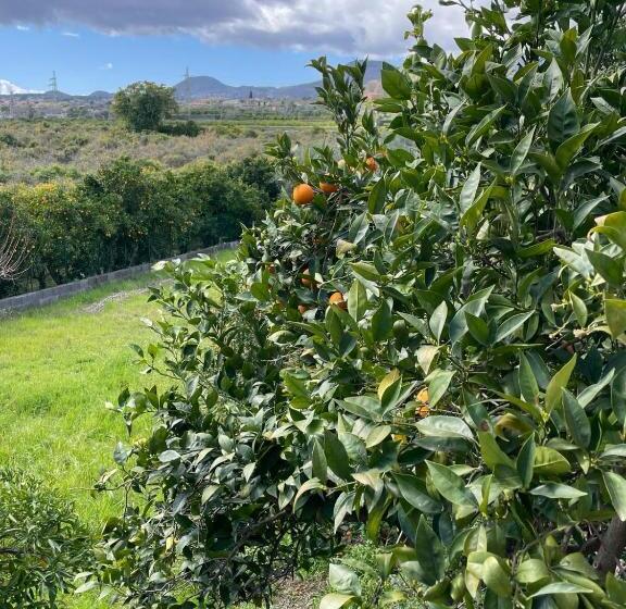 פנסיון Illo Camere Affittacamere