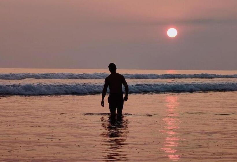 بنسيون Oceanic Playa Matapalo