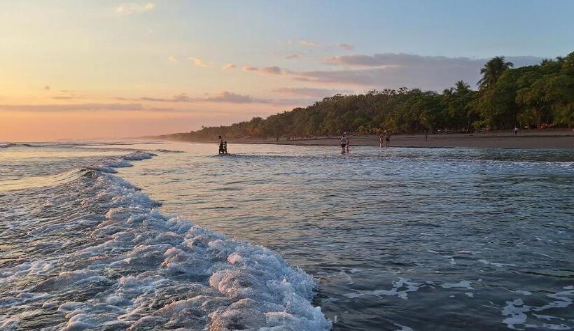 بنسيون Oceanic Playa Matapalo