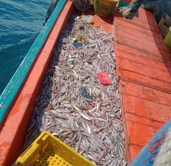 Пансион Port Ville Resort