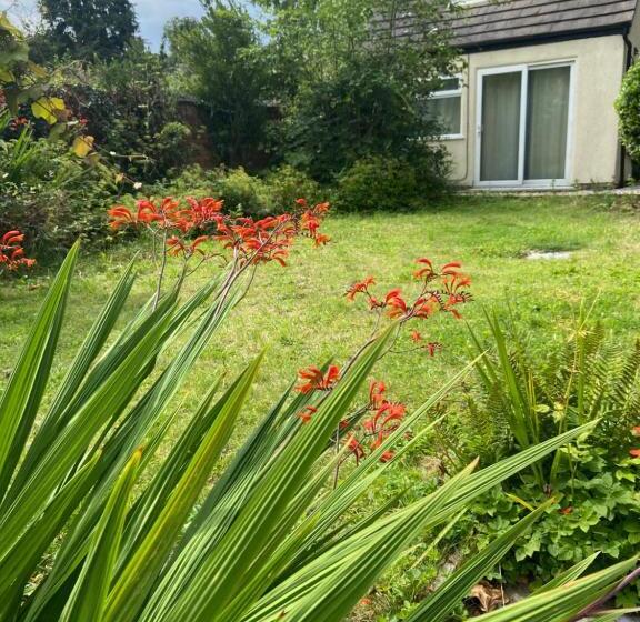 膳宿费 Rose House