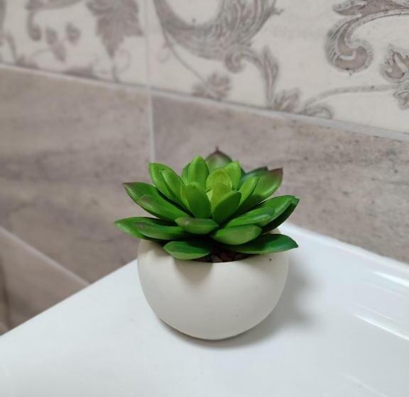 ペンション Summer Day Chernomorets