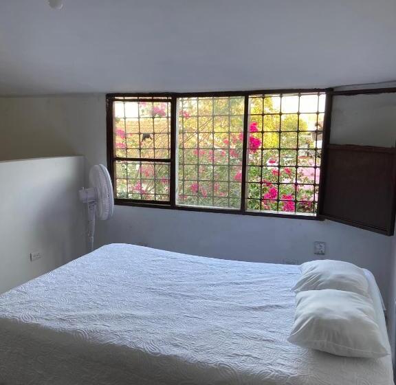 پانسیون Vegan