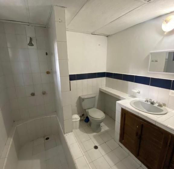 پانسیون Vegan