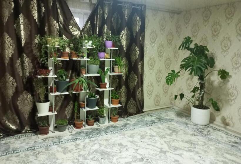 هاستل Asian Guest House