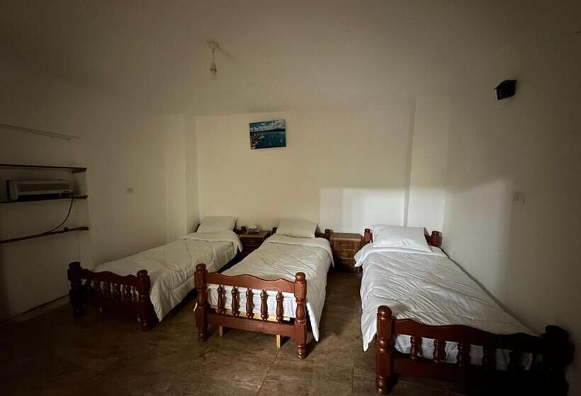 تختخواب و صبحانه Ain Alsett House