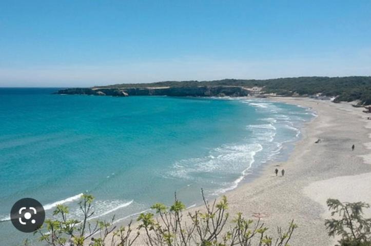 ベッドアンドブレックファースト Bellavista