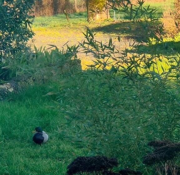 مبيت وإفطار Le Cardoué, Gíte Au Cœur Du Bocage Vendéen
