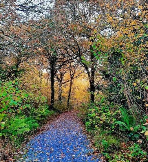 צימר St John S B And B