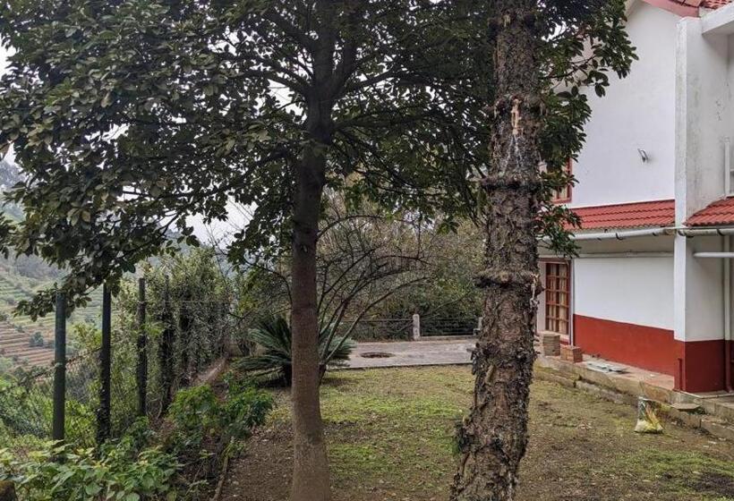 ベッドアンドブレックファースト Tara S Mist