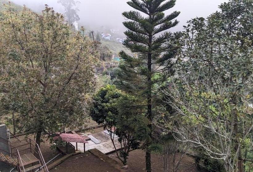 ベッドアンドブレックファースト Tara S Mist