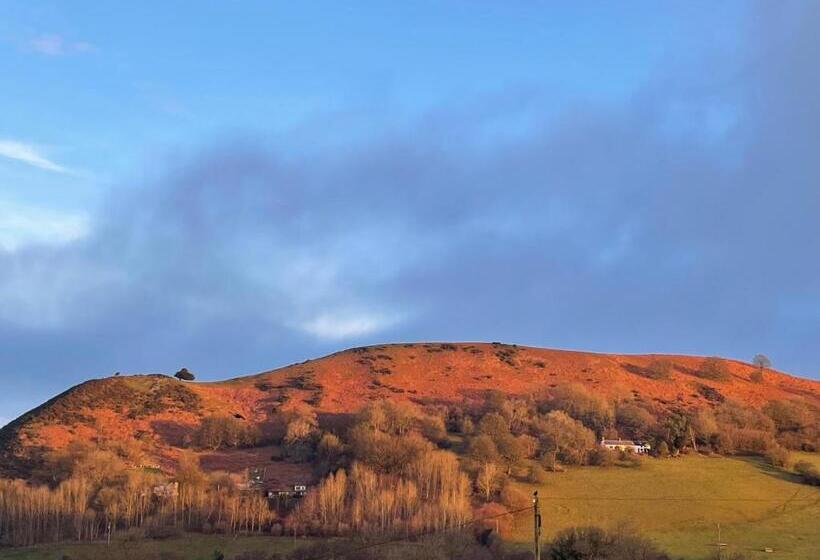 ベッドアンドブレックファースト The Granary