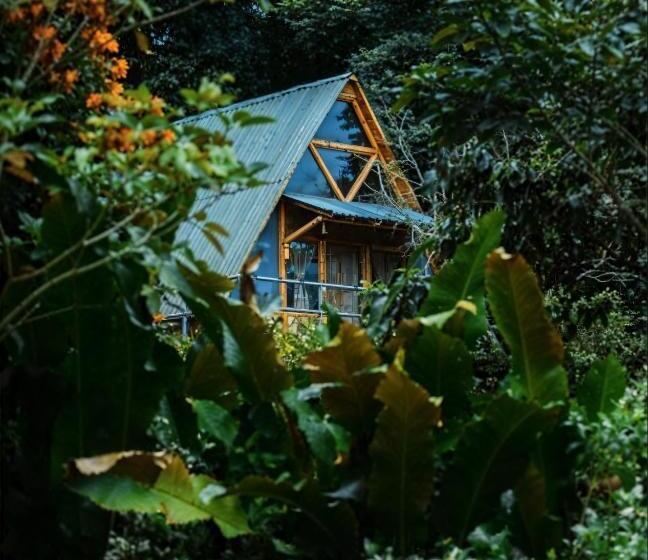 ホテル Boscaje Solarpunk Habitat