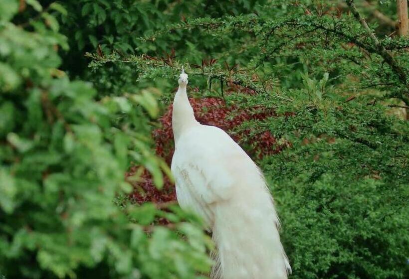 ホテル Boscaje Solarpunk Habitat