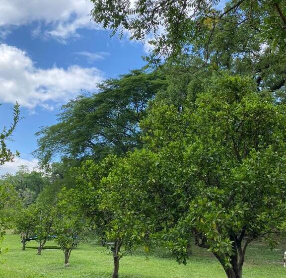 فندق Cabañas El Sabinito
