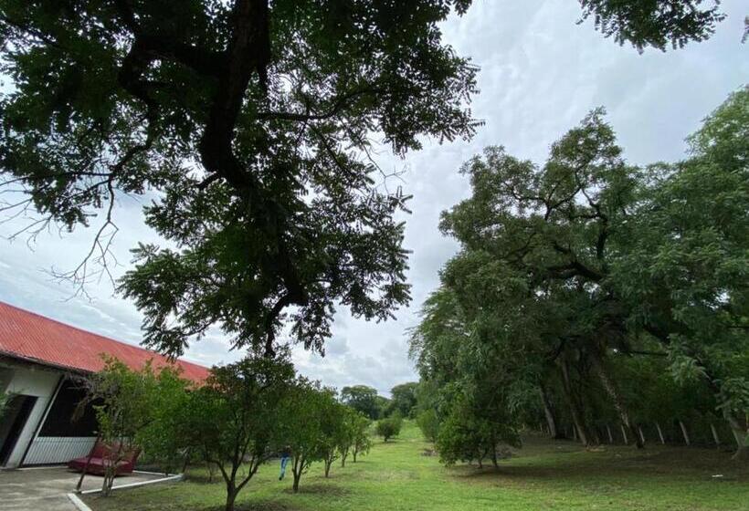 فندق Cabañas El Sabinito