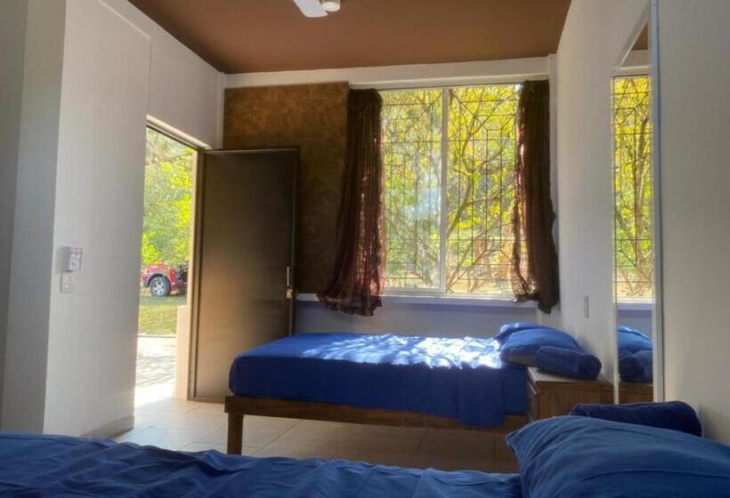 فندق Cabañas El Sabinito