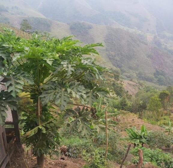 فندق Finca La Gabriela