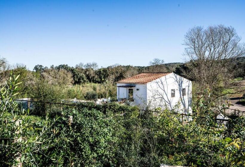 فندق Gandum Village