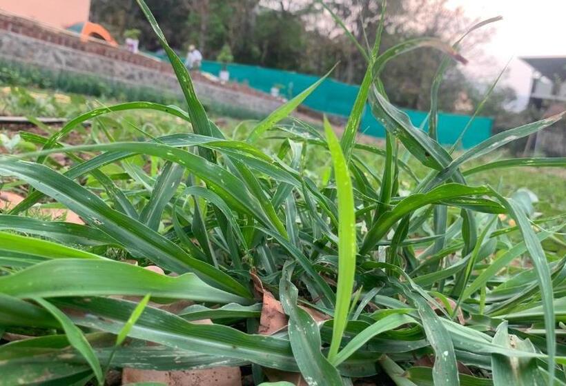 호텔 Gokul Agro Camping Wai