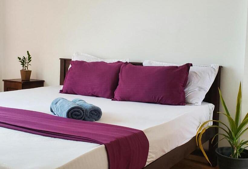 Отель Surf And Stay Surf School &