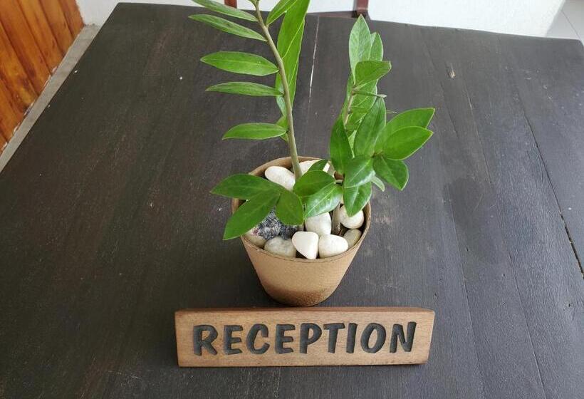 Отель Surf And Stay Surf School &