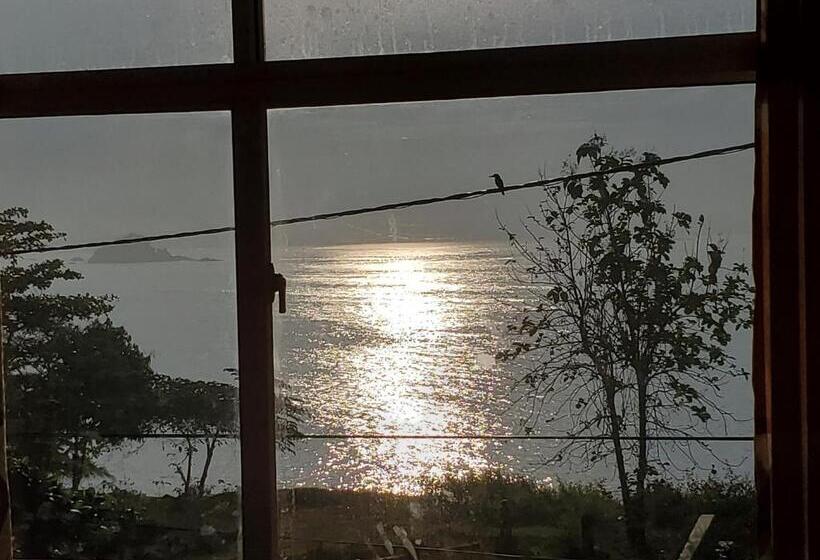 Отель Surf And Stay Surf School &