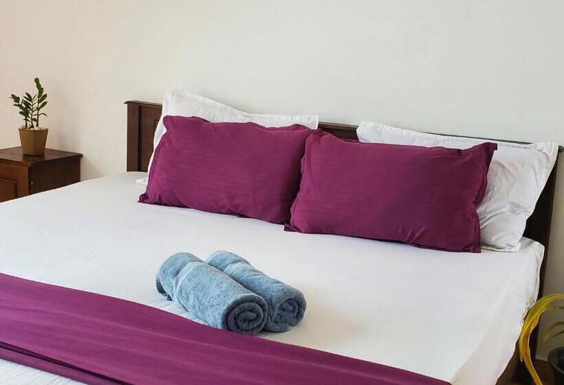 Отель Surf And Stay Surf School &