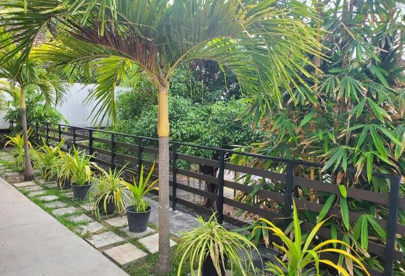 Отель Surf And Stay Surf School &