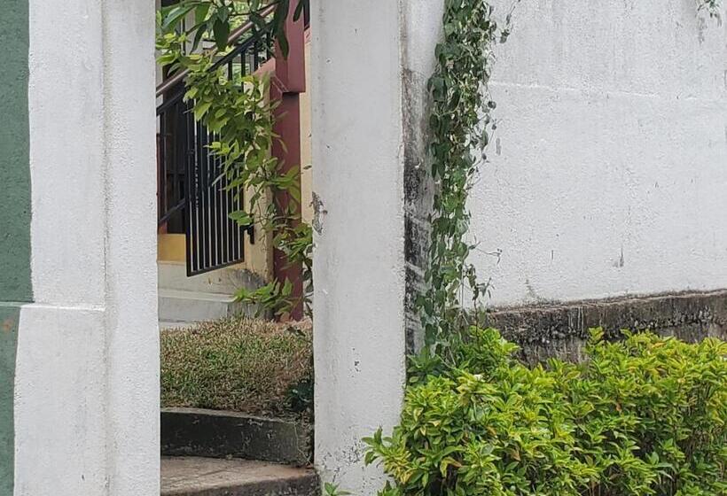 Отель Surf And Stay Surf School &