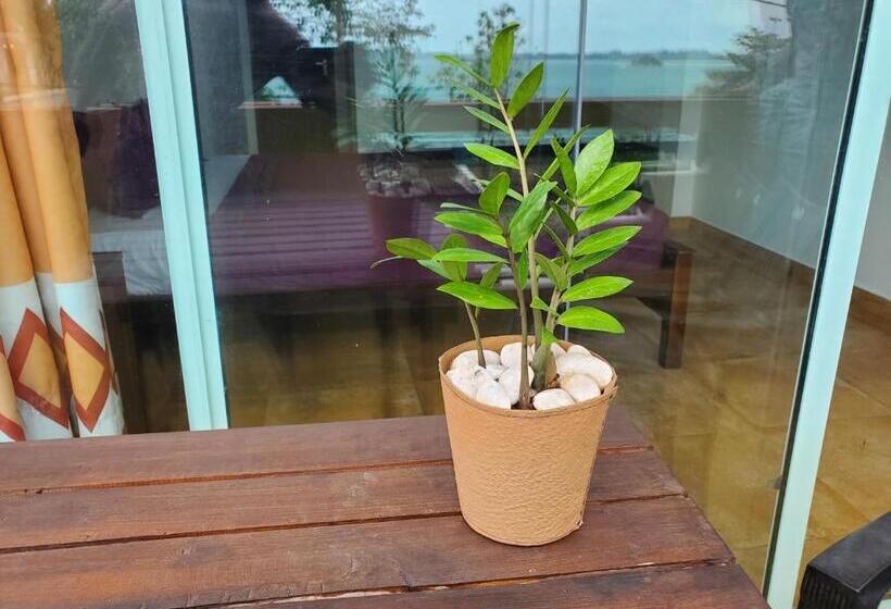 Отель Surf And Stay Surf School &