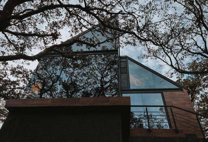 فندق La Forêt Cabañas Boutique