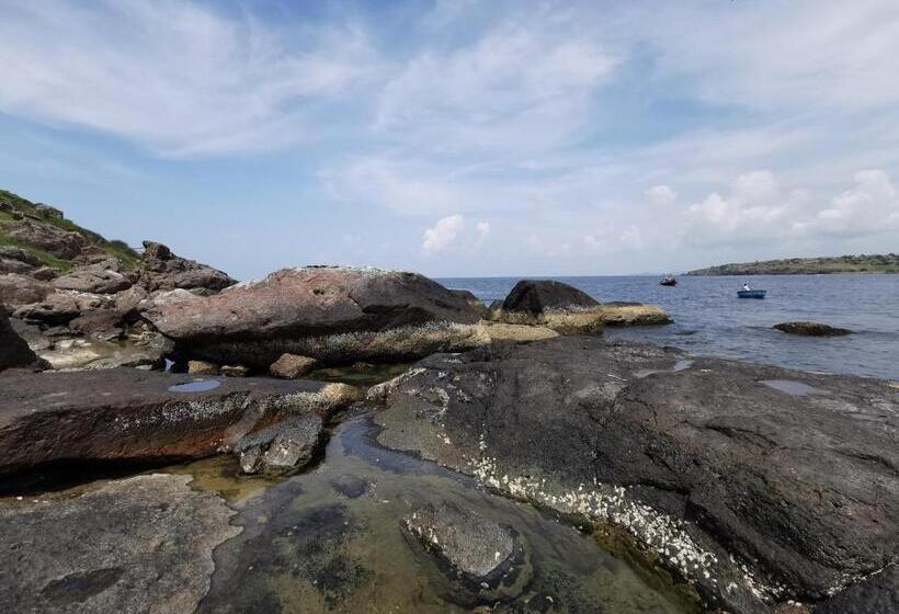 هتل New Wave Homestay