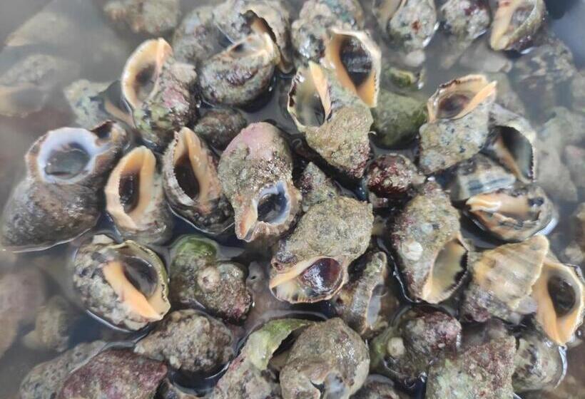 هتل New Wave Homestay