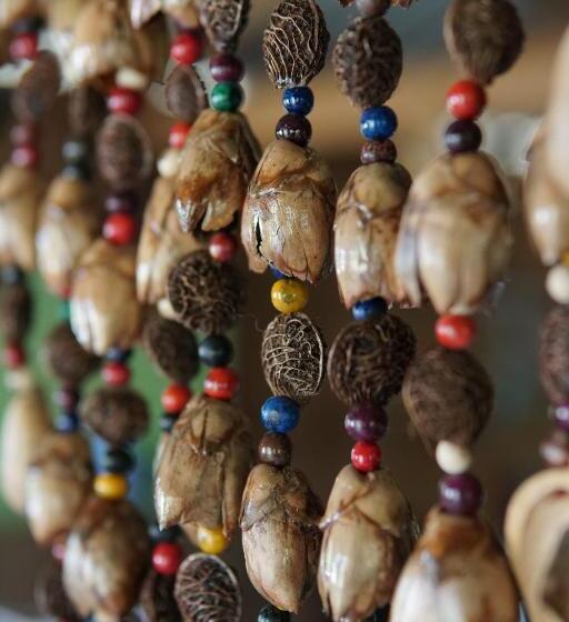 ホテル Pousada Da Dri Lodge