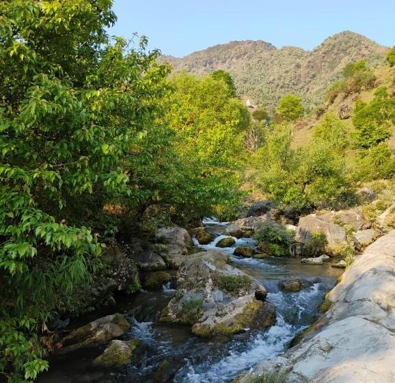בית מלון כפרי Rivulet Resort & Camping