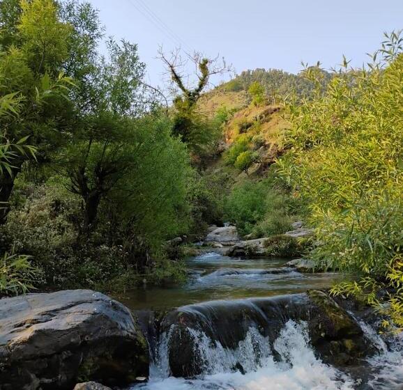 בית מלון כפרי Rivulet Resort & Camping