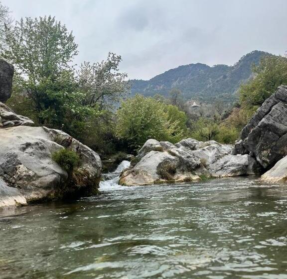 בית מלון כפרי Rivulet Resort & Camping