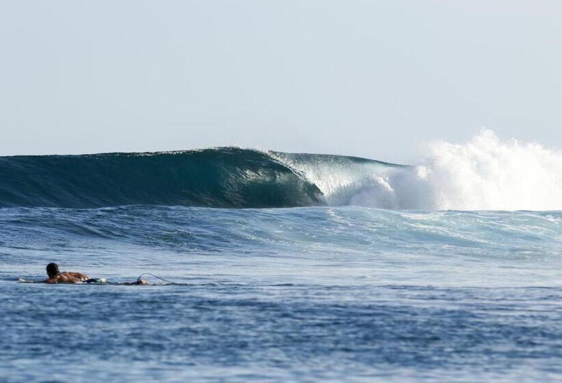 酒店 Villa Mentawai