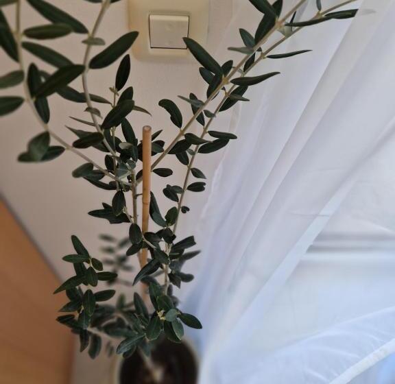 House Olive Garden Strunjan