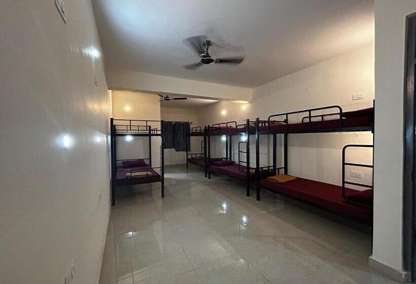 Lostel   Backpacker Hostel