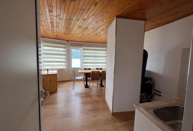 膳宿费 еделвайс сърница