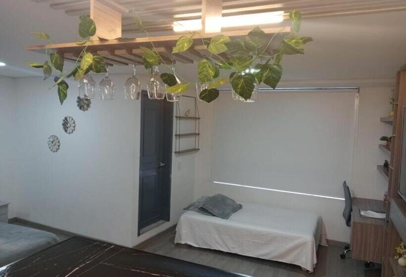 膳宿费 Habitación Elegante   Zipaquirá