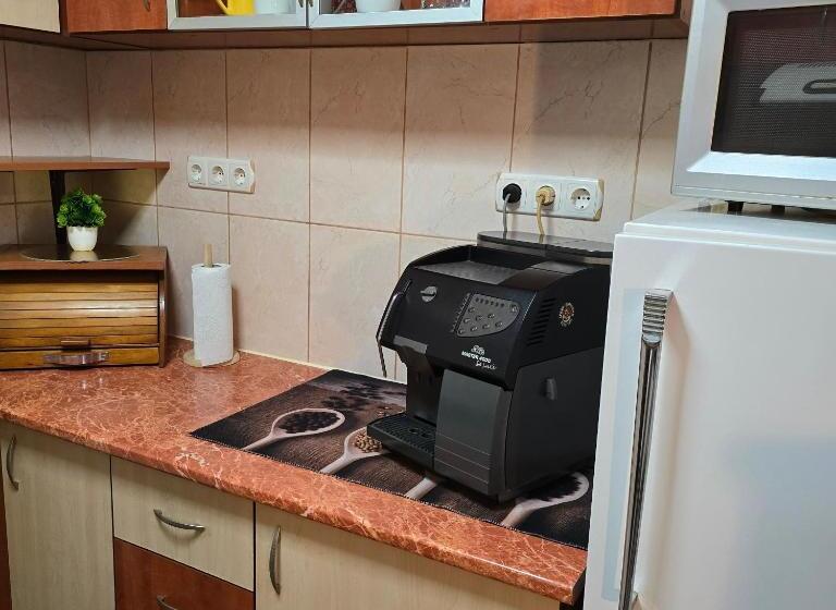 پانسیون La Dragoș Studio 01   Apartament