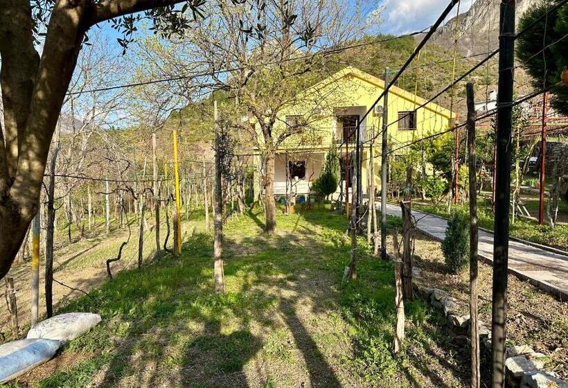 پانسیون Lakeview Escape Koman